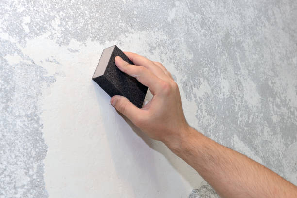 Reliable Genola, UT Mold Removal Solutions
