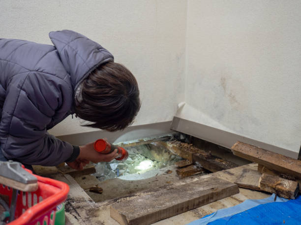 Best Airborne Mold Testing  in Genola, UT