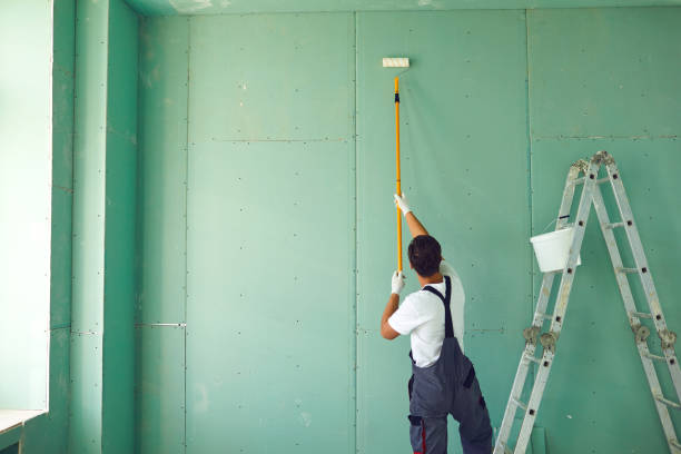 Best Post-Construction Mold Inspection  in Genola, UT