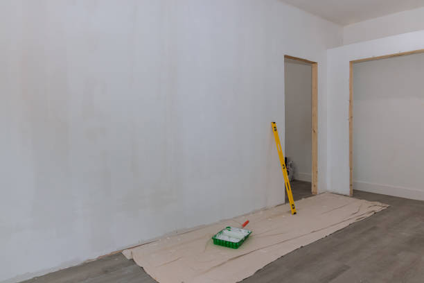 Best Basement Mold Removal  in Genola, UT