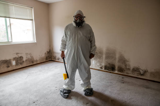 Best Asbestos and Lead Testing During Mold Inspection  in Genola, UT