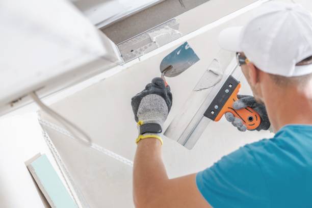 Best Forensic Mold Investigation  in Genola, UT